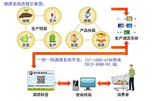 构建有机蔬菜二维码防伪溯源体系 信息系统集成服务的实践路径
